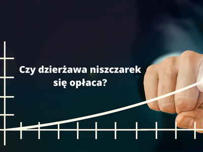 WYNAJEM i DZIERŻAWA NISZCZAREK